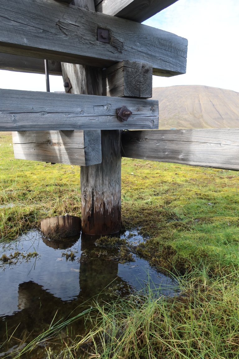 Svalbard’s cableway pylons are founded on wooden posts driven into the permafrost, making them vulnerable to rot damage at the transition between soil and air. Some pylons stand on steep terrain, others in water. Photo: Mari Sand Austigard / Mycoteam
