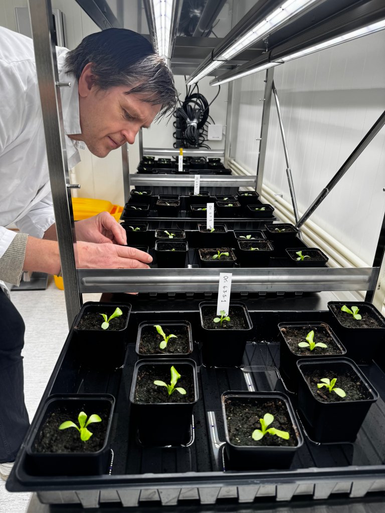 Thorstensen understreker likevel at genredigering ikke er løsningen på alt, men et viktig verktøy i møte med klimaendringer og økende sykdomspress: Foto: Siri Elise Dybdal