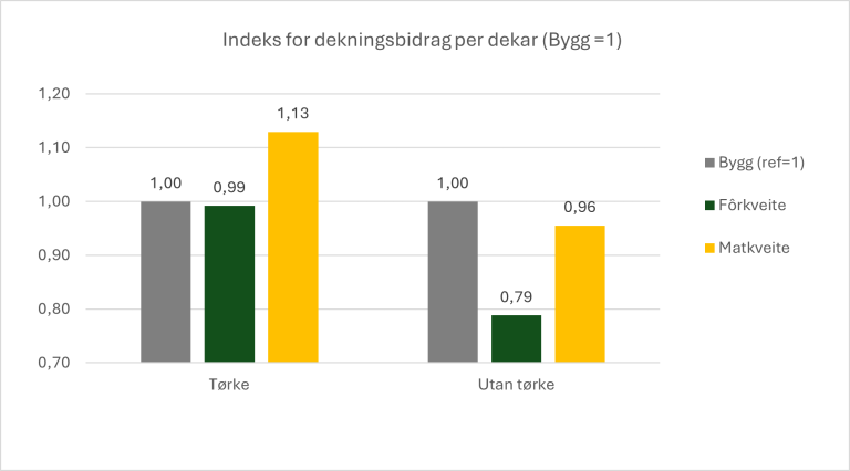 Relative dekningsbidrag per dekar for matkveite og fôrkveite samanlikna med bygg, gruppert etter om produsenten har eigen korntørke på garden eller ikkje. Nær 60 prosent av dei som har korntørke og produserer kveite, har meir enn 500 dekar kornareal. Tala er snitt for 100 kornbønder i perioden 2020-2024, basert på Driftsgranskingane i jord- og skogbruket. Figur: Anna Landrø Hjelt