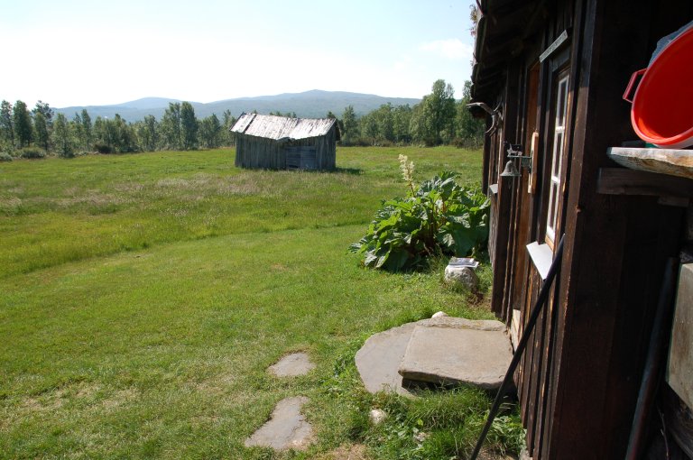 Rabarbra_Seterbu_Synnerdalen.JPG