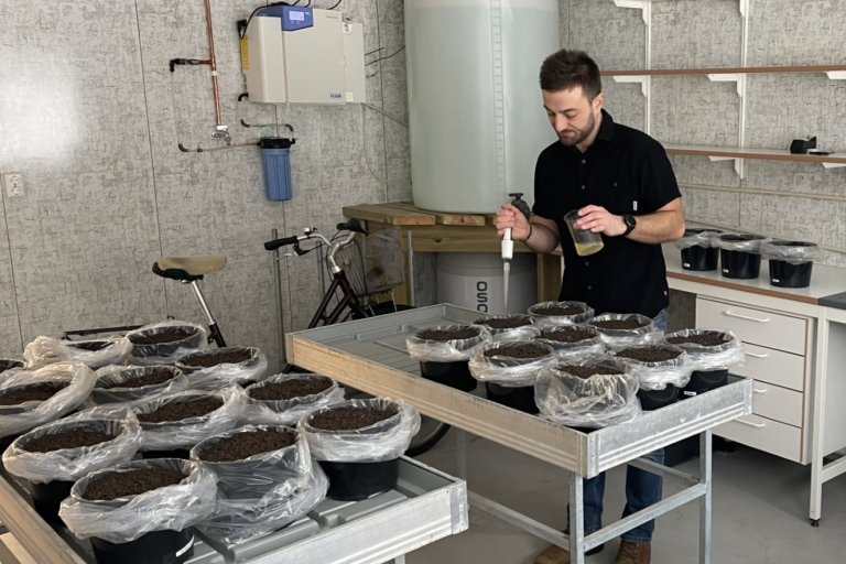 Pierre-Adrien Rivier bruker pipette for å tilsette pottene ulike næringsløsninger. Foto: Attila Nemes
