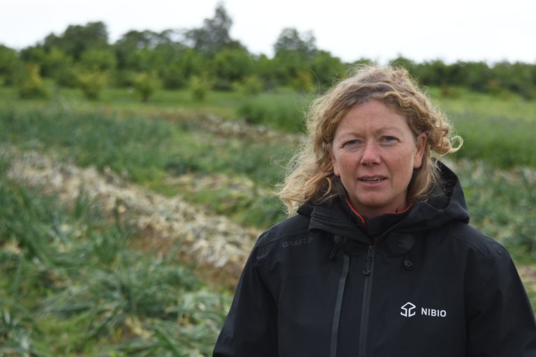 Forsker Pia Heltoft Thomsen ved NIBIO Apelsvoll. Foto: Morten Günther