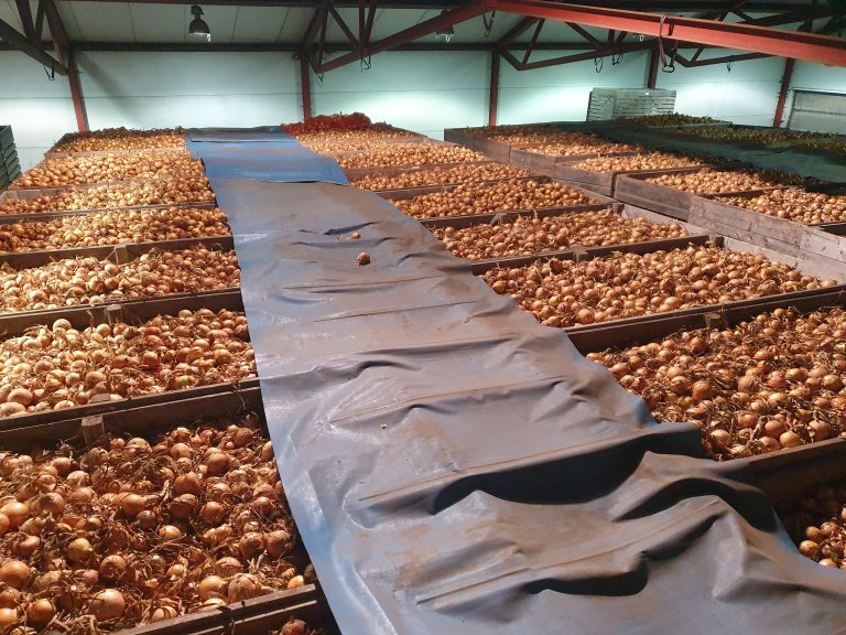 Kepaløk på lager. Foto: Lars Arne Høgetveit