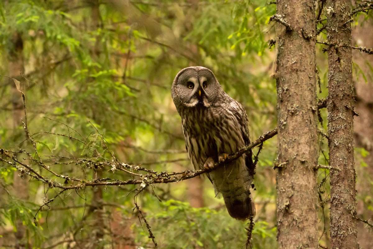 201187389_867391530519200_7815000818651863855_n