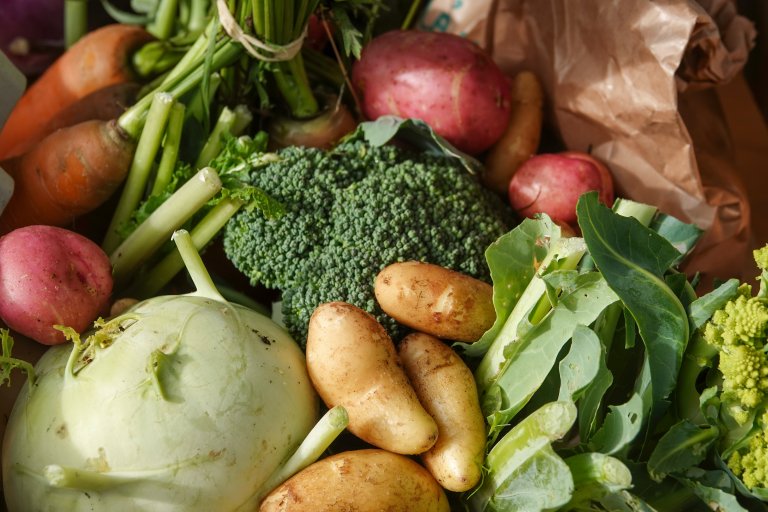 Oppvarming av jorda kan vera eit stort framsteg for å gjere oss meir sjølvforsynte på norske grønsaker. Foto: Morten Günther