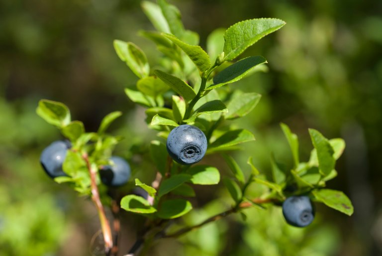 DA2006-08-04 152917.jpg