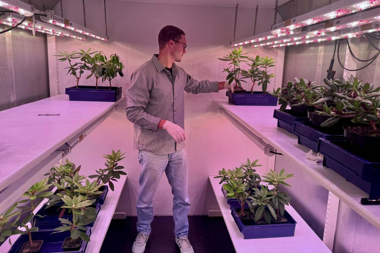 IMG_1889_cropped