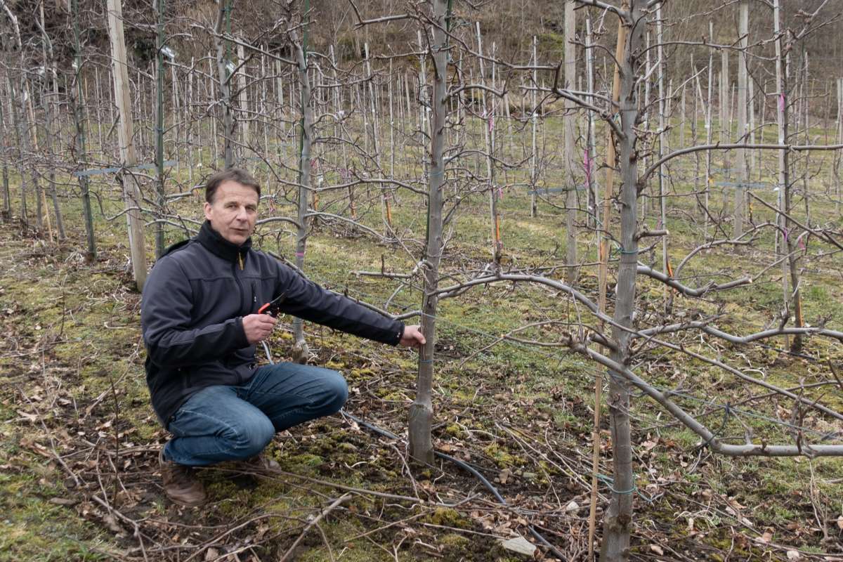 heul_20250326-DSC03308_cropped