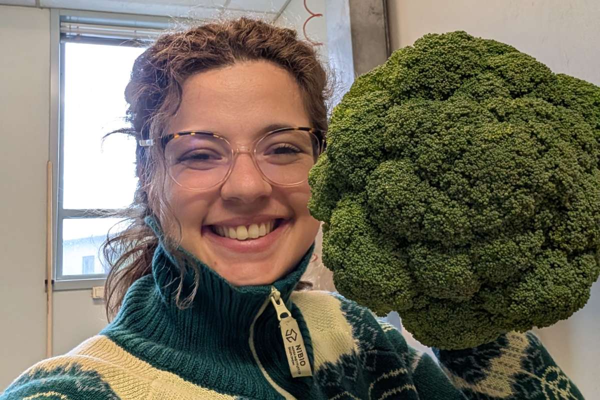 brokkoli_cropped