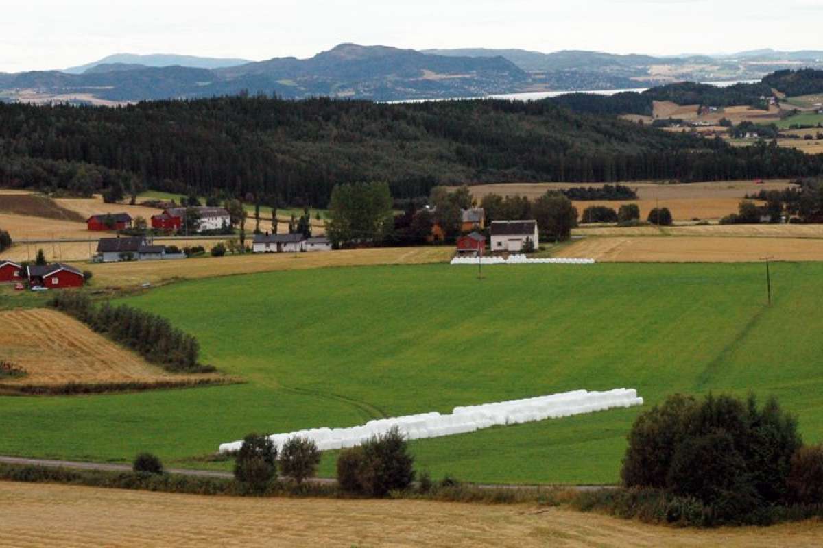 trøndelag