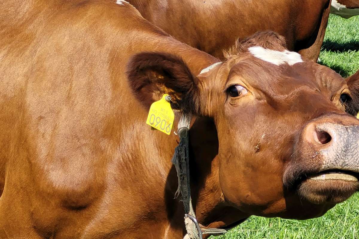 mg2021-08-06 12.29.09