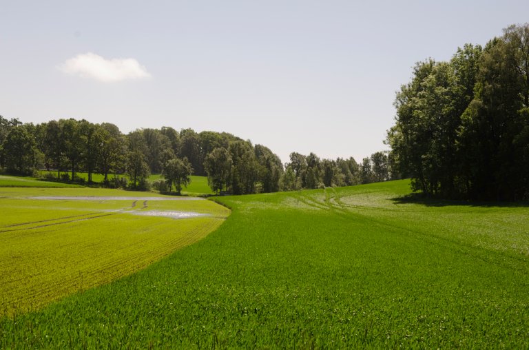 Kulturlandskap ved Bogslunden i Moss kommune. Foto: Morten Günther