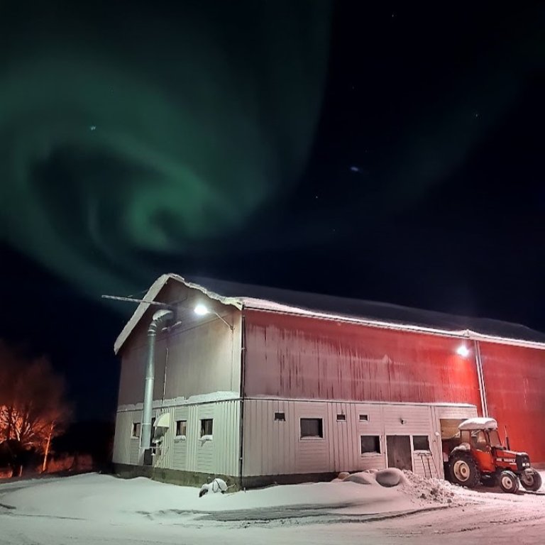 Det er dyrere å bygge landbruksbygg i nord. Bildet viser Nordheim gård i Pasvik, arbeidsplassen til Ola Johansen som er intervjuet i denne saken. Denne driftsbygningen ble bygget i 2002. Foto: Tone Roksvåg Aandahl