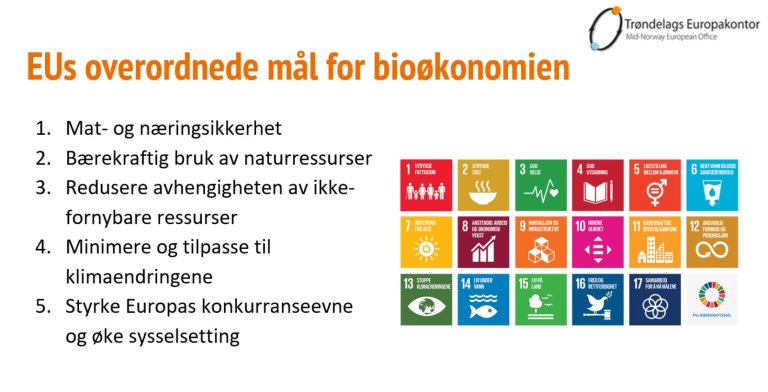 EUs overordnede mål for bioøkonomi_Heidi Fossland.JPG