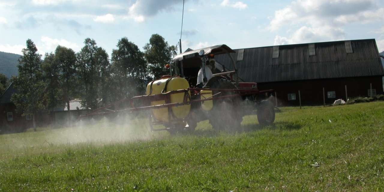 sprøyting graseng jon schärer