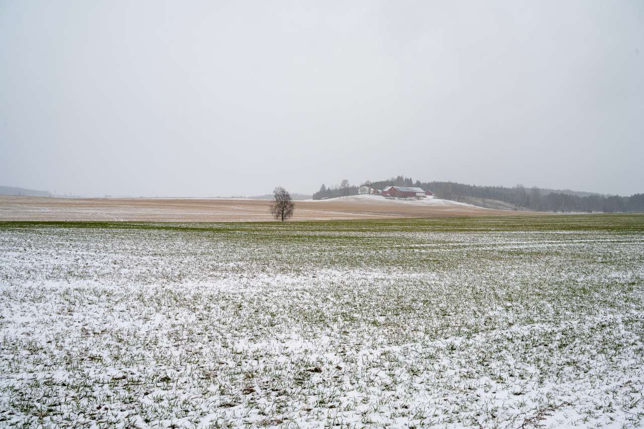 erfl-20240404-155136