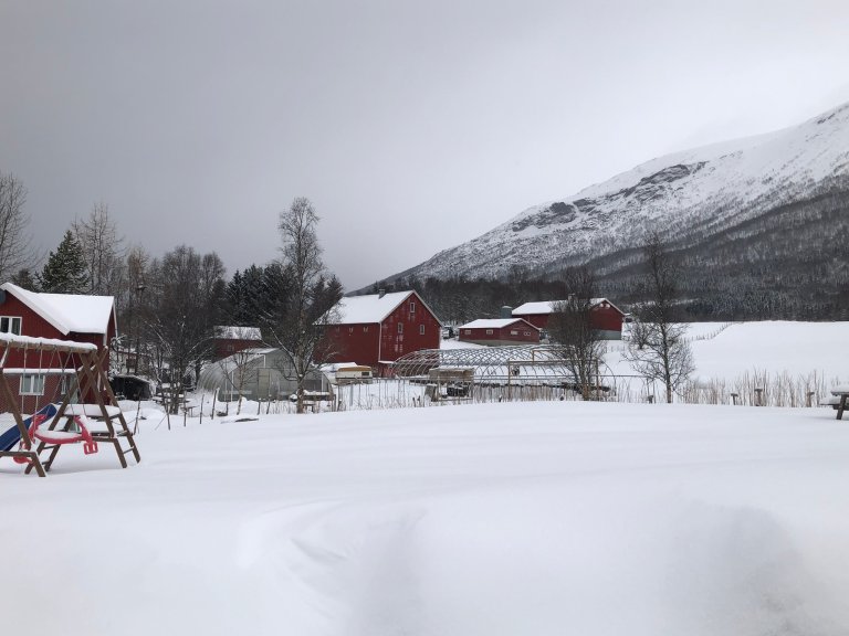 Gardsbruk i Troms. I gjennomsnitt var jordbruksinntekta 487 000 kroner per årsverk for nordnorske bønder. Foto: Camilla Baumann