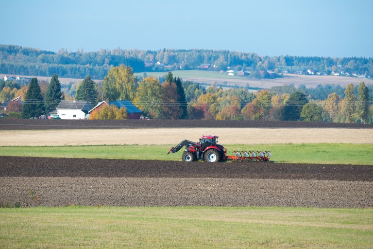 Forsøk har vist at jordarbeiding om våren i stedet for på høsten kan redusere nitrogentapet med 20-40 prosent. Foto: Erling Fløistad