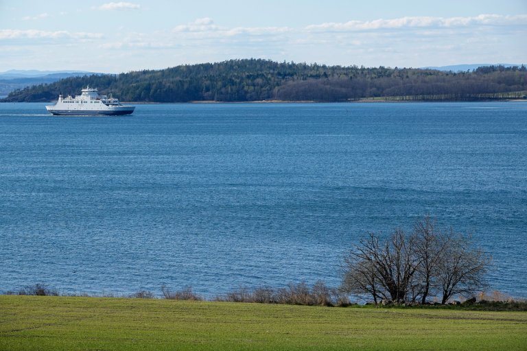 Overskudd av næringsstoffer som nitrogen og fosfor, sammen med ulike miljøgifter, bidrar til en forverring av Oslofjordens tilstand. Foto: Morten Günther