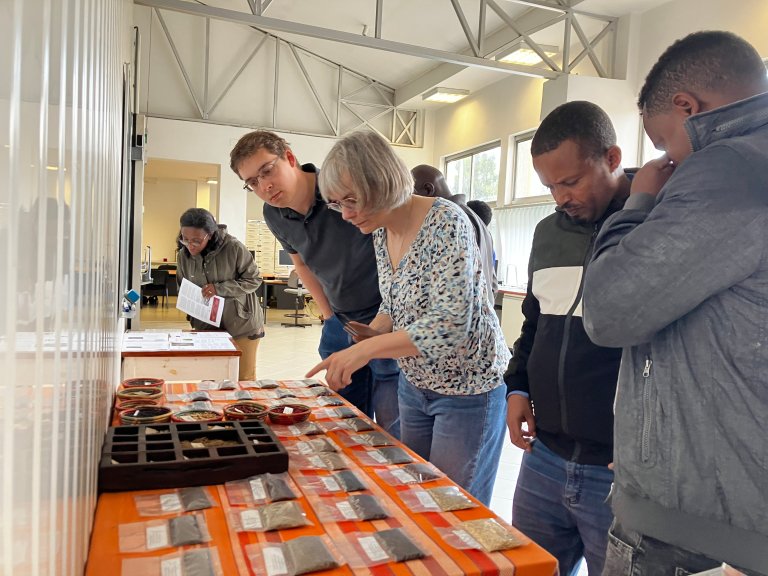 Project leader Marit Jørgensen and colleagues visiting the gene bank at the International Livestock Research Institute in Addis Ababa, Ethiopia. Photo credit: An Notenbaert