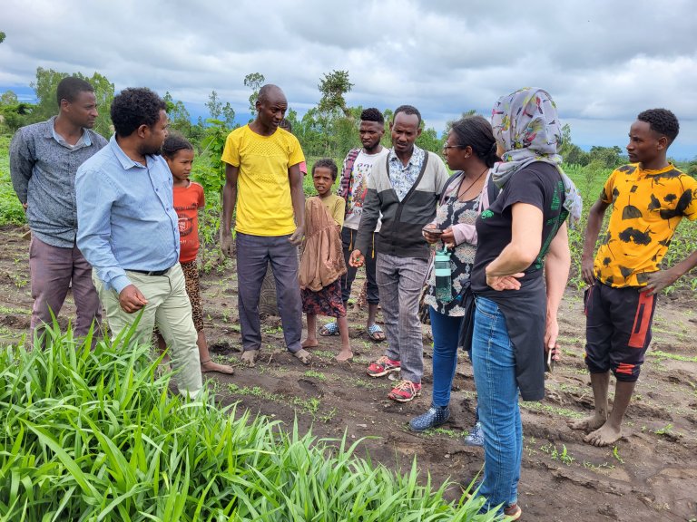 Engaging farmers in selecting grass-legume mixtures adapted to local conditions and providing good yields is essential, says NIBIO researcher Marit Jørgensen, who leads the EthiopiaGrass project. Photo credit: An Notenbaert