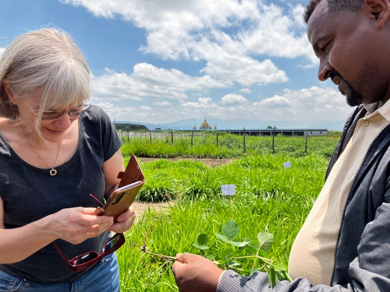 Marit Jørgensen, researcher at NIBIO and project leader, and Shimelis Gizachew, researcher at Hawassa University and project participant, in the field. Photo credit: An Notenbaert