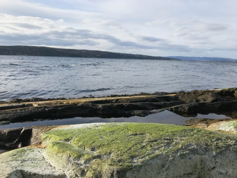 Også Norge har utfordringer knyttet til jordhelse: jordpakking og erosjon, lite karbon i jorda i korndistriktene, utslipp av klimagasser og avrenning av næringsstoffer, spesielt nitrogen og fosfor. Det har blant annet stor betydning for Oslofjorden. Foto: Anette Tjomsland Spilling