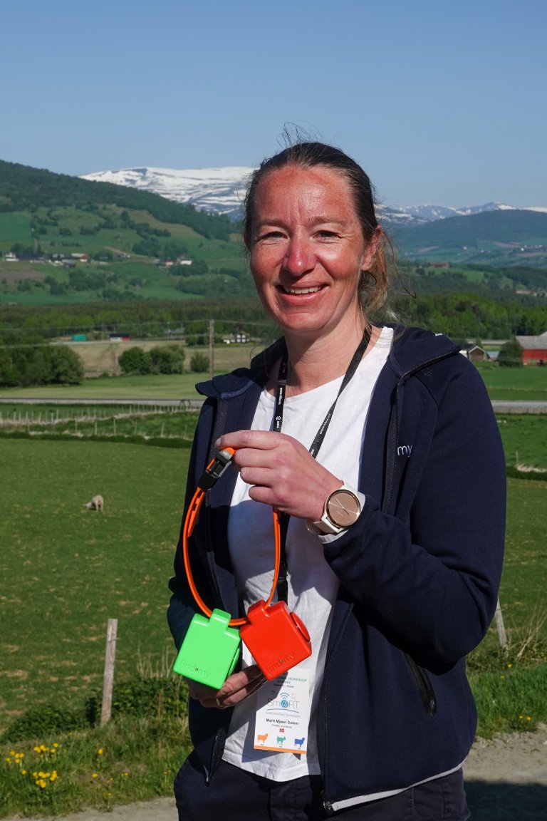 Marit Mjøen Solem er daglig leder for Findmy – et norsk selskap som tilbyr elektroniske bjeller for dyr på utmarksbeite. Ved hjelp av satellitteknologi kan bøndene spore dyra i sanntid fra nettbrett eller smarttelefon. Foto: Morten Günther
