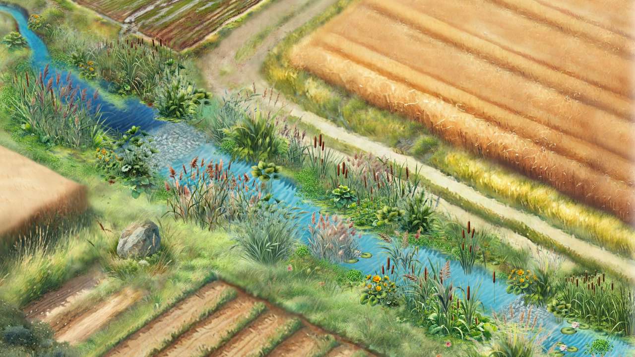 Fangdam_grunntegning_211024_cropped2