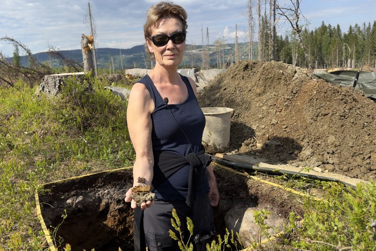− De ulike lagene i jorda sier mye om et område, sier NIBIO-forsker Janne Kjønaas, en av deltagerne i den nye studien av karbon i skogsjord etter flatehogst. Foto: May-Sylvi Skinnerlien, Skogkurs