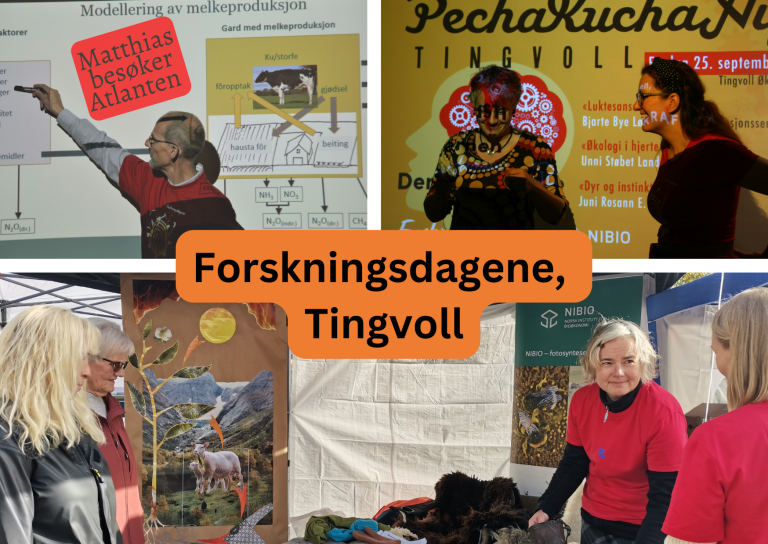 Foto: NIBIO Tingvoll