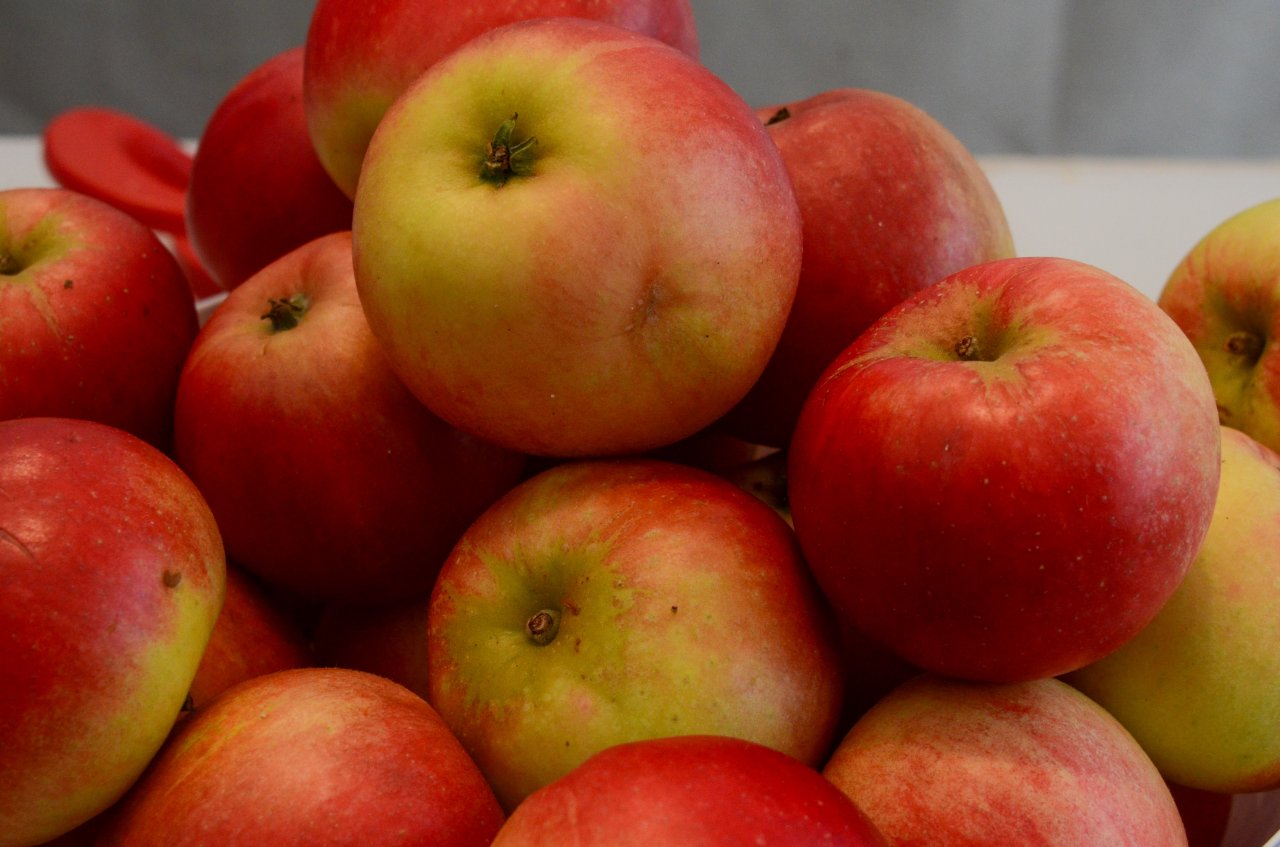 Godt år For Norsk Frukt - Nibio