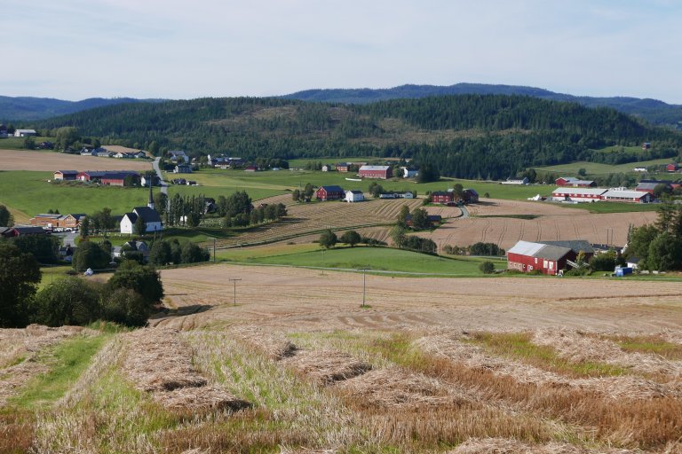 Utsyn over jordbrukslandskap i Skaun, Trøndelag_Foto Frode Bentzen .JPG