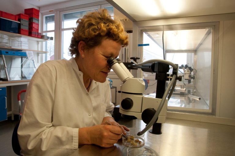 SKP leverer klimafasiliteter og spesialiserte tjenester til forskning og undervisning innen planter, jord og miljø. Foto: Lars Sandved Dalen