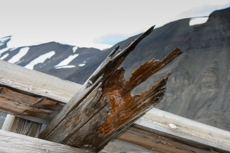 Råteskadet taubanebukk i Longyearbyen - Foto AC Flyen NIKU.jpg