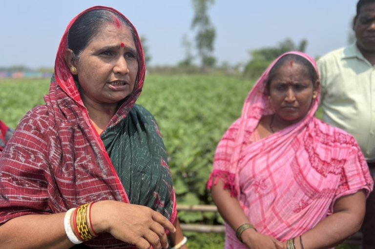 In addition to the cultivation of new climate resilient rice varieties, Resilience has helped farmers to implement crop diversification that not only increases climate resilience, but also improves farmer income with the cultivation of different crops in rotation or parallel to rice crops. Pictured here is smallholder Jhili Nayak from Sasanpadar village, one of the participating villages of the Resilience project. Photo: Kathrine Torday Gulden