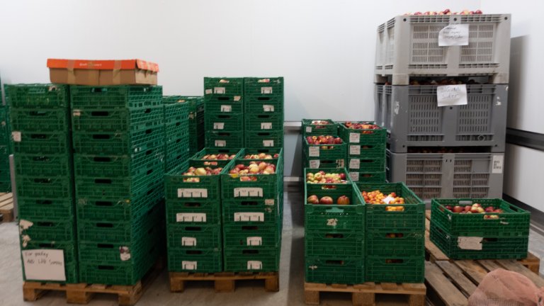 Kjølelageret på NIBIOs forsøksgård på Lofthus fylles opp av frukt som er øremerket ulike prosjekter. Foto: Hege Ulfeng