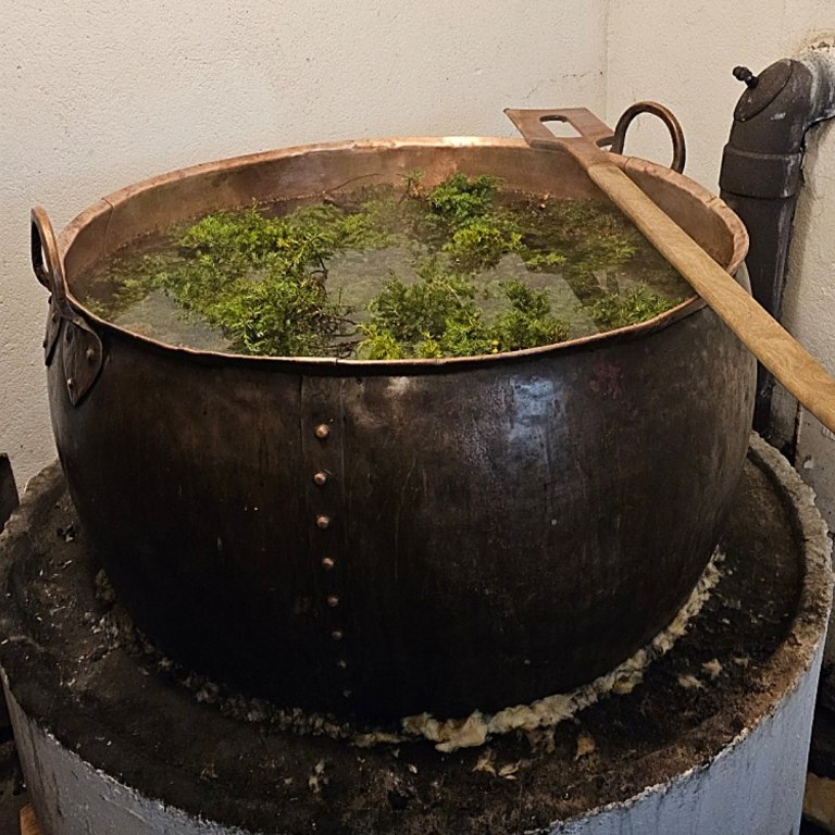 12. Brakalåg/einerlåg - ein varmer vatn med einer i opp til ca 80 grader.Lågen (antiseptisk) blir brukt til reingjering av bryggekara og som bryggevatn i meiskinga. Foto: Atle Ove Martinussen / VKA