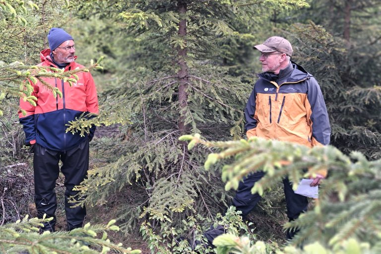Svein Solberg er seniorforsker ved NIBIO på Ås. Han ser at det kan være utfordrende for skogeiere og andre som planter skog å vite hvilke treslag som vil passe i fremtidsskogen. Her frå en befaring i Fritzøe skoger i Vestfold sammen med deltagerne i prosjektet Klimakløkt. Foto: Ingrid Knotten Haugberg, Statsforvalteren i Vestfold og Telemark