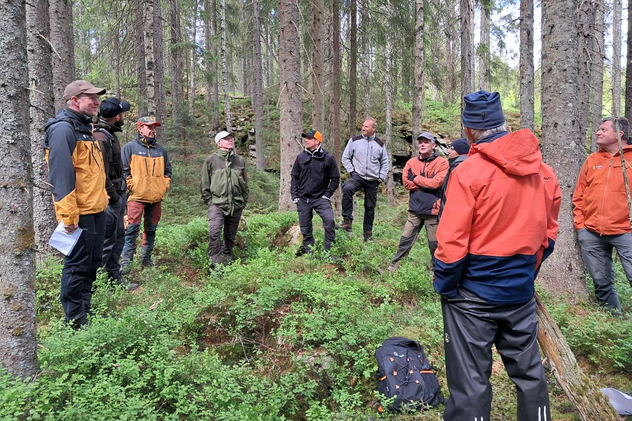 Befaring i skogen - Foto Ingrid Knotten Haugberg - Statsforvalteren i Vestfold og Telemark_cropped
