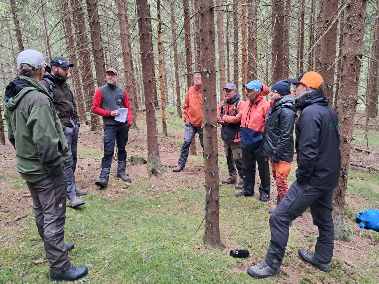 Verdivalg og politiske valg, slik som hvor mye tømmer som hugges og hvor mye karbon skogen fanger, må veies opp mot andre økosystemtjenester – slik som biologisk mangfold, friluftsliv og rekreasjon. En måte å tilnærme seg dette på kan være gjennom dialog mellom ulike interessenter – og gjerne ute i selve skogen det gjelder – slik som her frå prosjektet Klimakløkt. Foto: Ingrid Knotten Haugberg, Statsforvalteren i Vestfold og Telemark