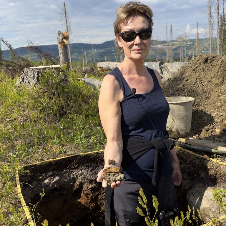 Graver dypt: − De ulike lagene i jorda sier mye om et område, sier NIBIO-forsker Janne Kjønaas. Foto: May-Sylvi Skinnerlien, Skogkurs