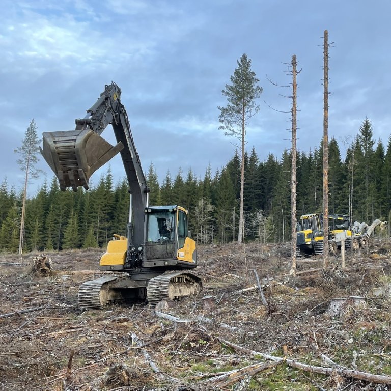 To maskiner i arbeid på forskningsfeltet i Elverum kommune. Foto: Kjersti Holt Hanssen