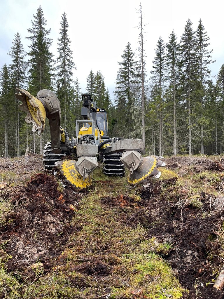 Skålharv i arbeid. Foto: Kjersti Holt Hanssen