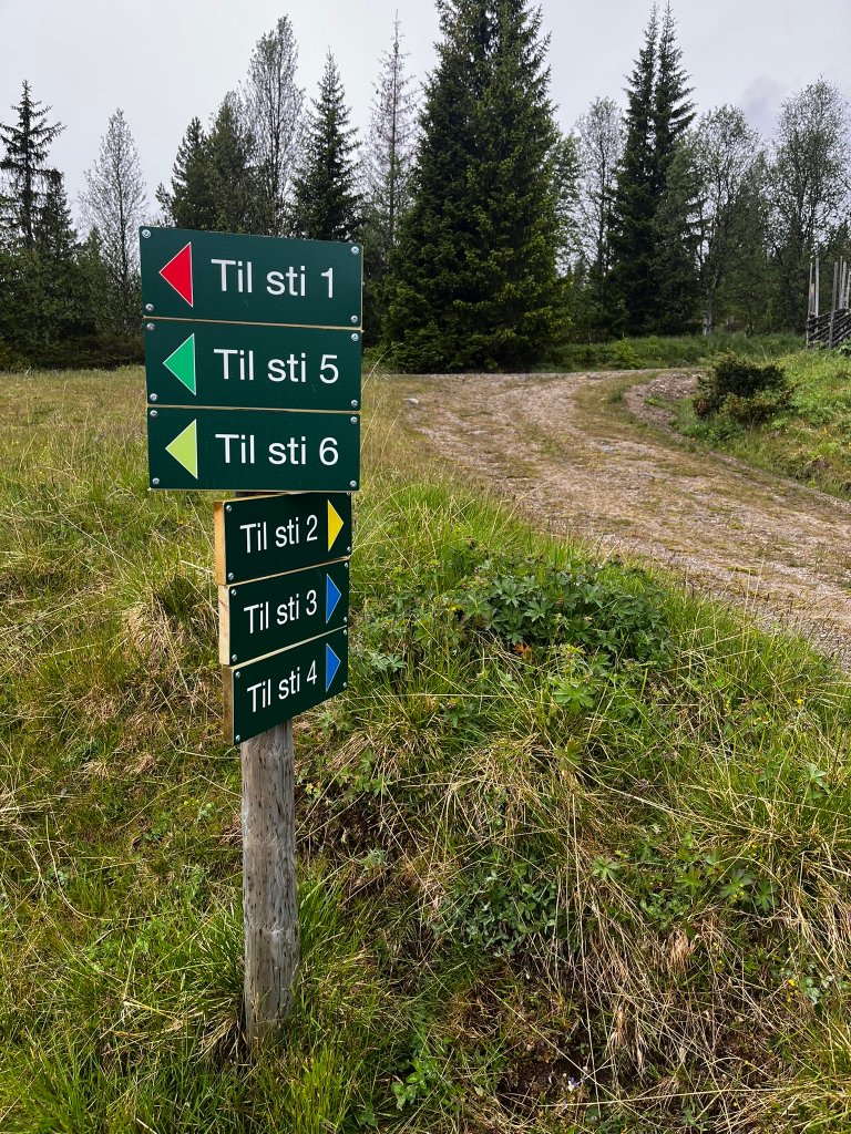 Foto: Per Holm Nygaard