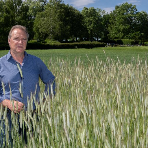 Matsikkerhet – En Varm Potet - Nibio