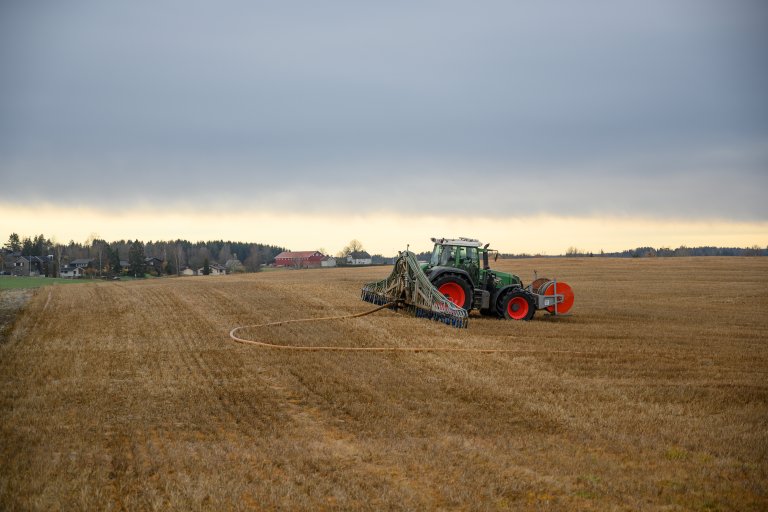 Økt miljøtilpasset mathveteproduksjon må skje uten at klimaavtrykket øker, og da må blant annet gjødsling utføres mer presist for å unngå avrenning. Foto: Erling Fløistad, NIBIO