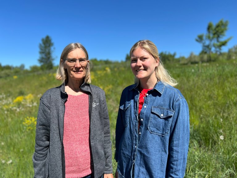 JOVA-programmet ledes av NIBIO-forsker Hanne Ugstad (t.h.), her sammen med seniorforsker Marianne Bechmann som også deltar i arbeidet. Foto: Kathrine Torday Gulden