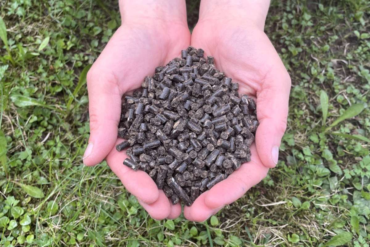 Gjødselpellets_EB_cropped