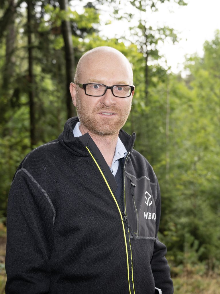 Ved hjelp av fjernmålingsdata, det vil si bilder tatt fra satellitt, fly og droner, og modellering på datamaskinen har forskerne klart å lage de første landsdekkende kartene over naturskog i Norge. NIBIOs Marius Hauglin er en av dem som har bidratt til arbeidet. Foto: Erling Fløistad, NIBIO